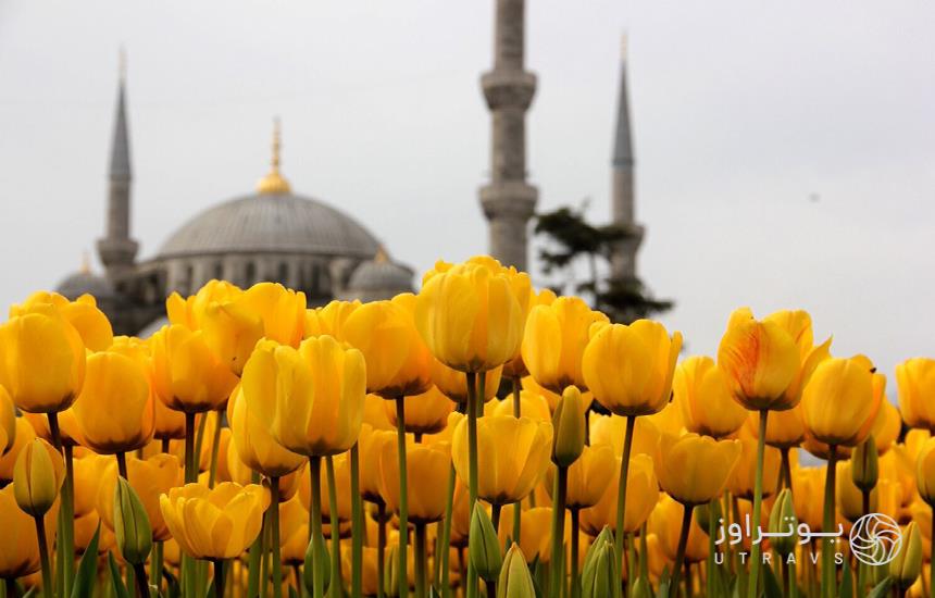 فستیوال گل‌های لاله ترکیه